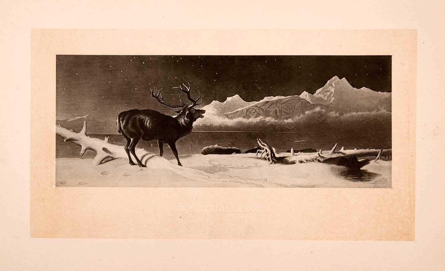 1876 Heliogravure Edwin Henry Landseer Wildlife Art Reindeer Arctic XAP1