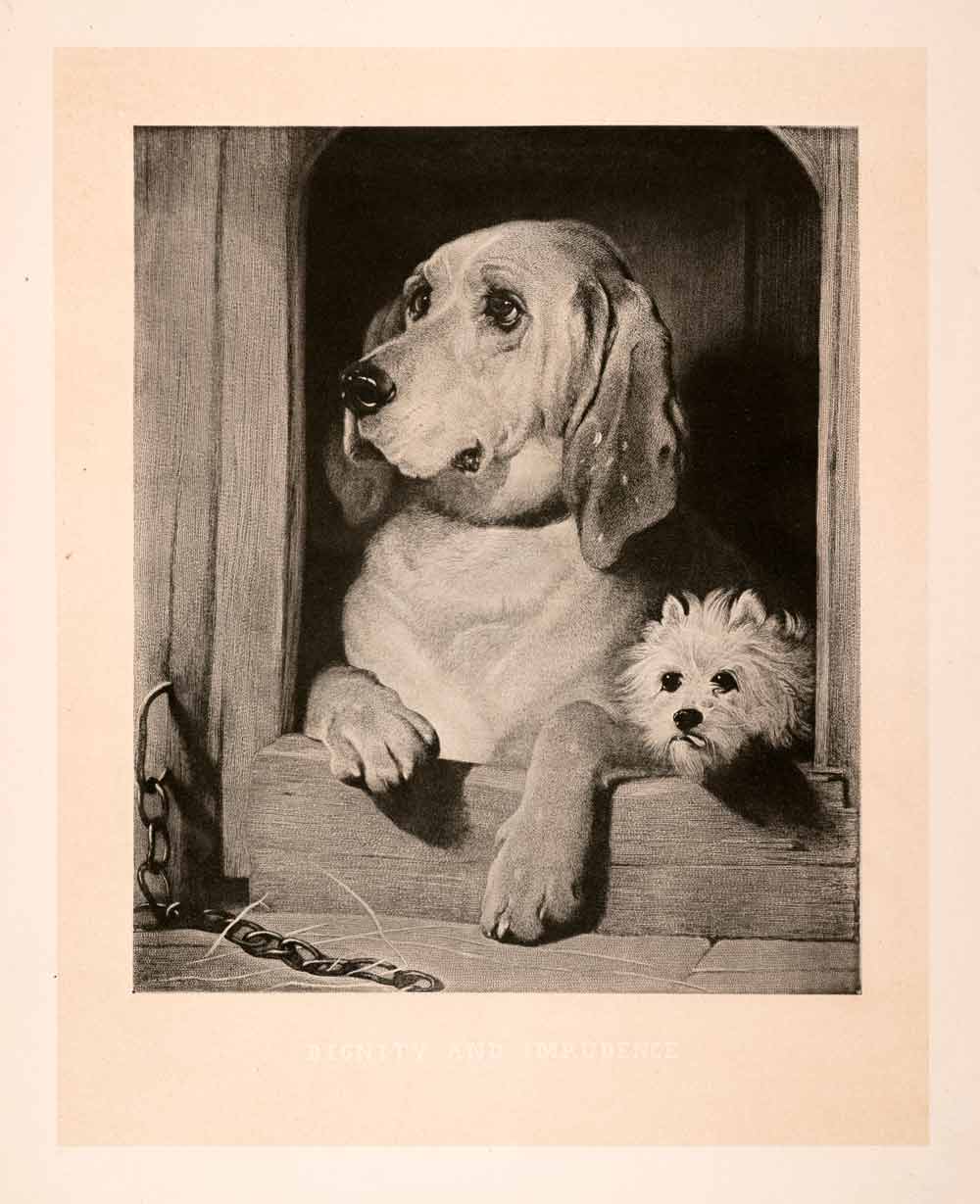 1876 Heliogravure Edwin Landseer Dog Pets Art West Highland Terrier XAP1