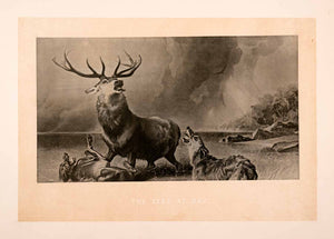 1876 Heliogravure Edwin Landseer Wildlife Art Stage Deer Attack Dogs XAP1