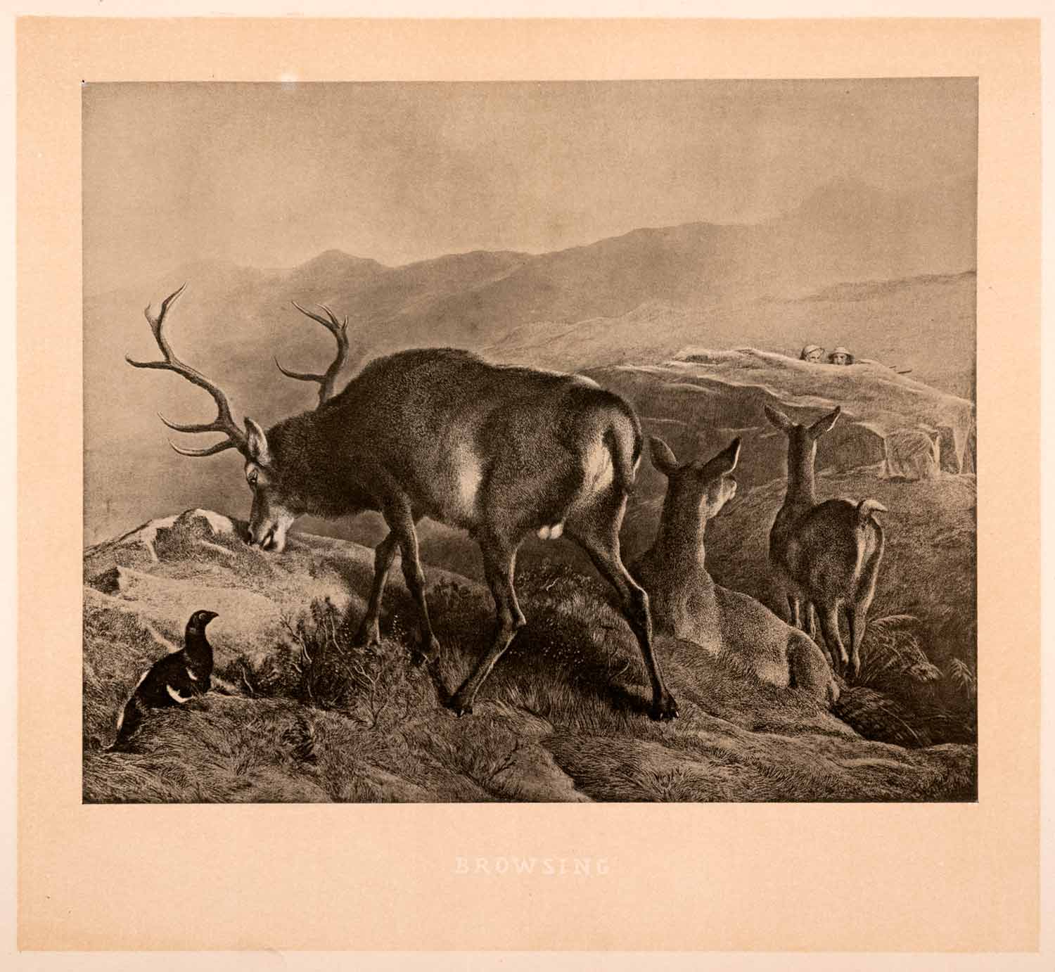 1876 Heliogravure Edwin Landseer Art Stag Whitetail Deer Doe Wildlife XAP1