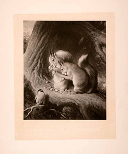 1876 Heliogravure Edwin Henry Landseer Wildlife Art Squirrels Nuts Piper XAP1