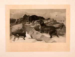 1876 Heliogravure Edwin Henry Landseer Wildlife Dog Pigeon Art Ptarmigan XAP1