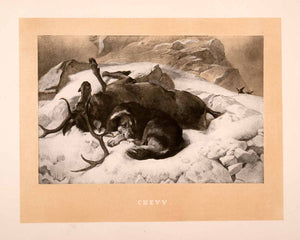 1876 Heliogravure Sir Edwin Landseer Wildlife Art Chevy Protective Dog Stag XAP1