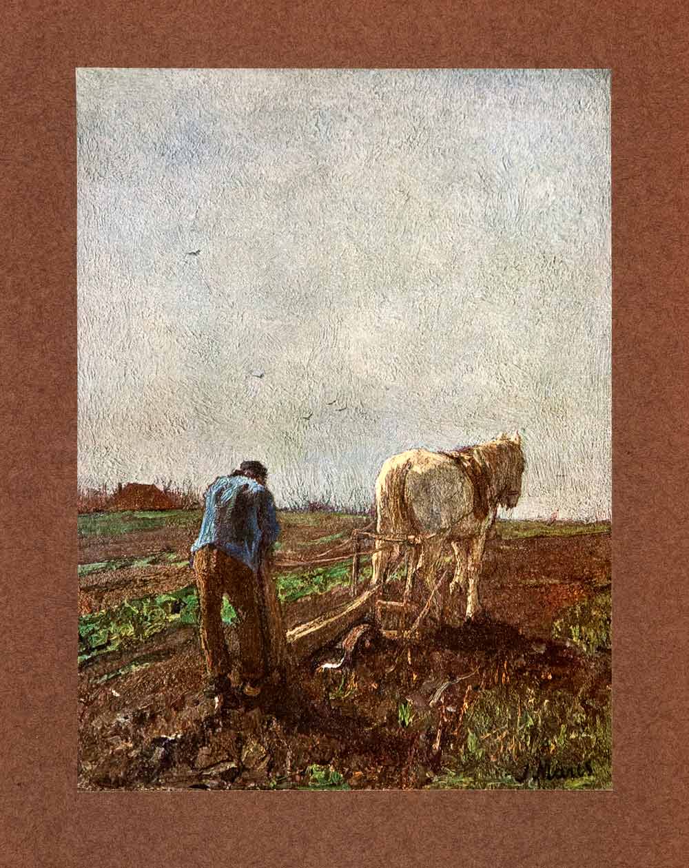 1907 Tipped-In Print Farming Horse Plough Field Harvest Crop Netherlands XAP7