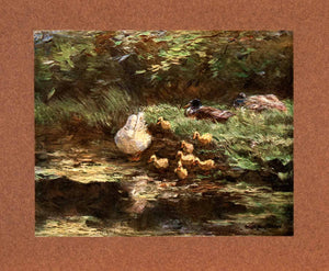1907 Tipped-In Print Ducks Duckling Mallard Art Dutch Forest Pond Tree XAP7 - Period Paper

