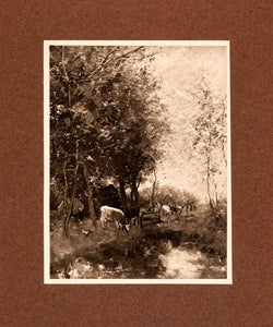 1907 Photogravure Springtime Cattle Grazing Farm Ranch River Tree Herd XAP7