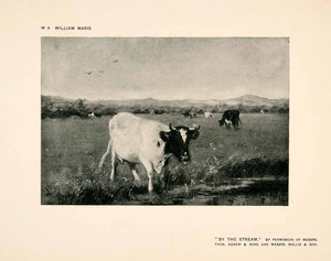 1907 Halftone Print Cattle Meadow Pasture Grazing Stream Farm Landscape Art XAP7