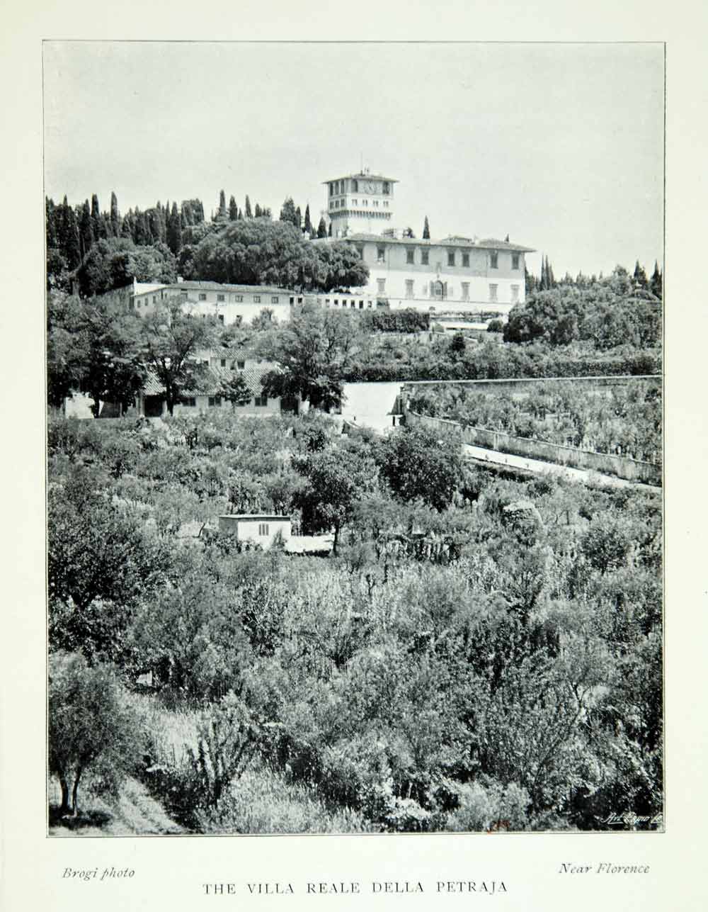 1901 Print Villa Reale Della Petraia Tuscany Italy Europe Botanical Garden XAPA4