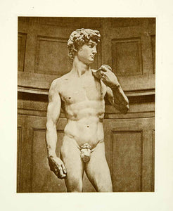 1900 Photogravure Statue David Michelangelo Italian Renaissance Sculpture XAQA8