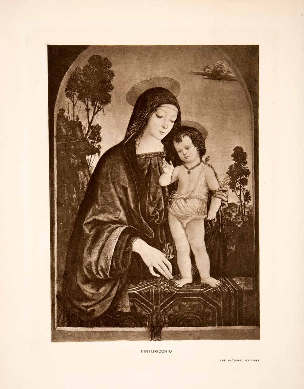 1902 Photogravure Pinturicchio Madonna Child Religion Portrait Italy XAS7