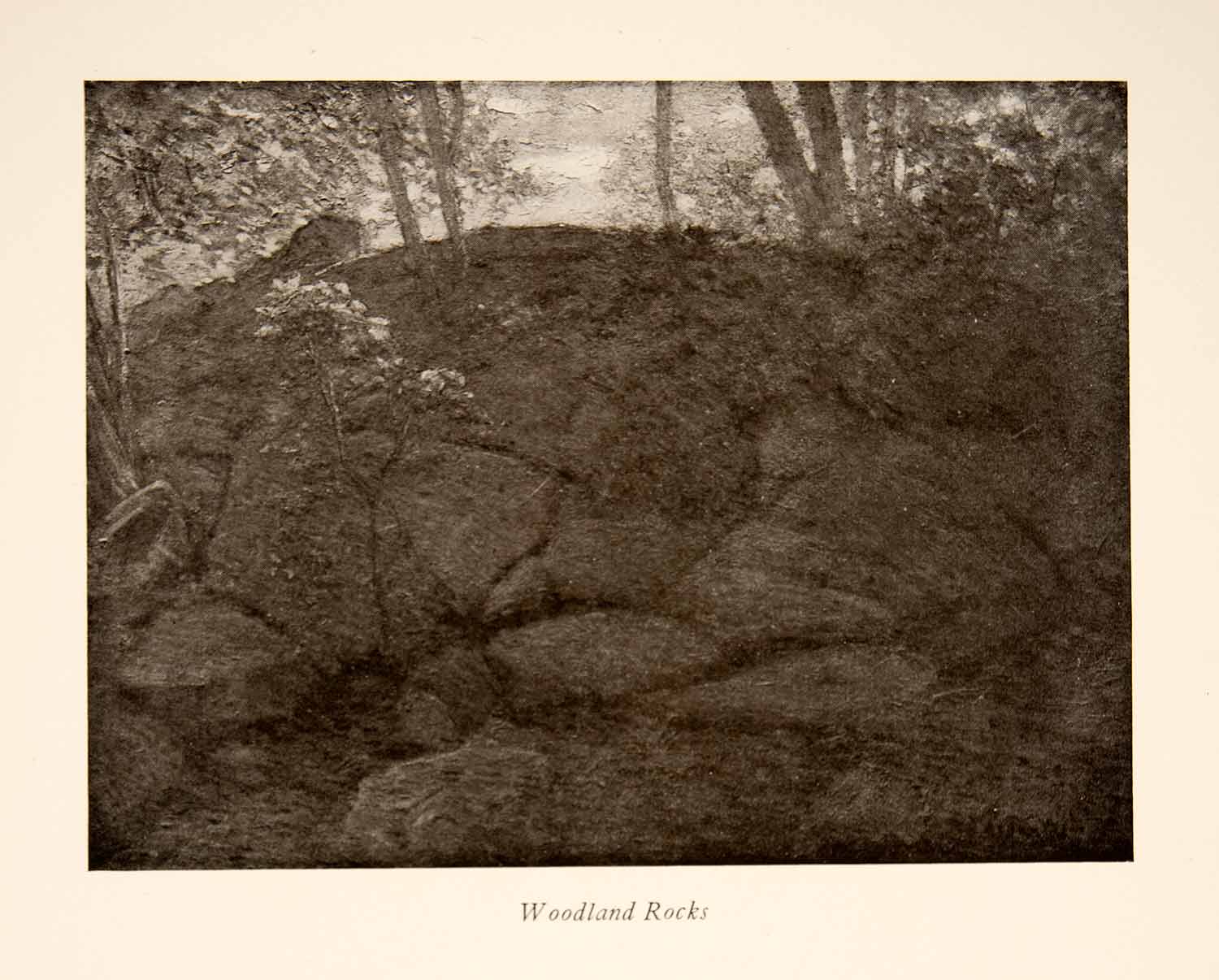 1922 Print Julian Alden Weir Woodland Rocks Landscape Impressionist Flower XAT3