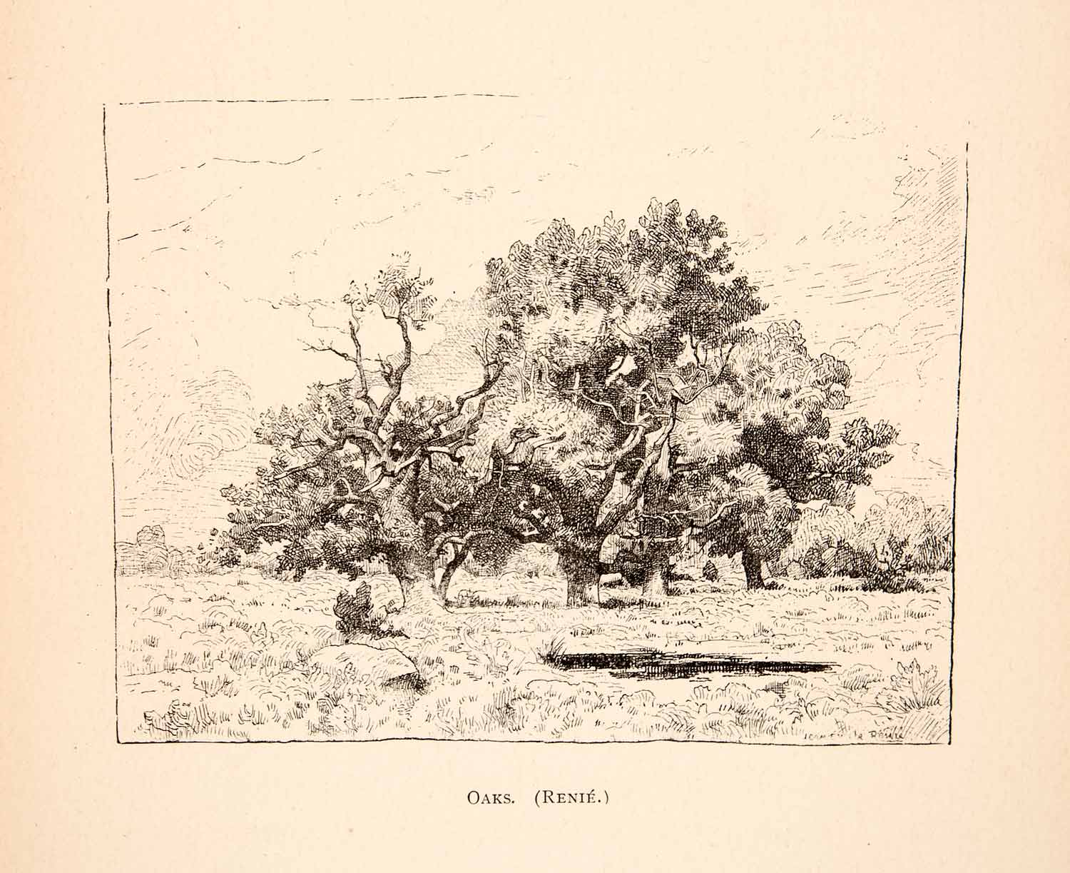 1883 Print Renie Oak Tree Glen Valley Forest France Branches Field Boulder XAT4