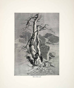 1877 Wood Engraving Edwin Landseer Wildlife Art Hunters Rest Deer Antelope XAW4