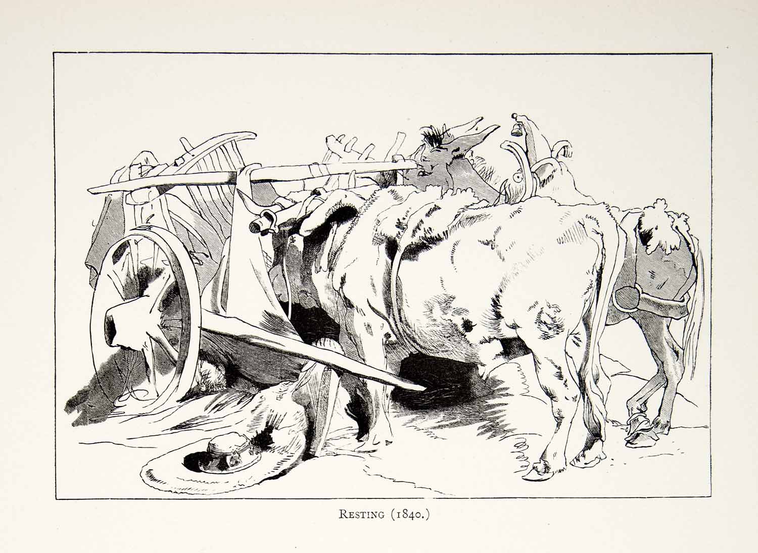 1877 Wood Engraving Edwin Landseer Wildlife Livestock Art 1840 Donkey Bull XAW4