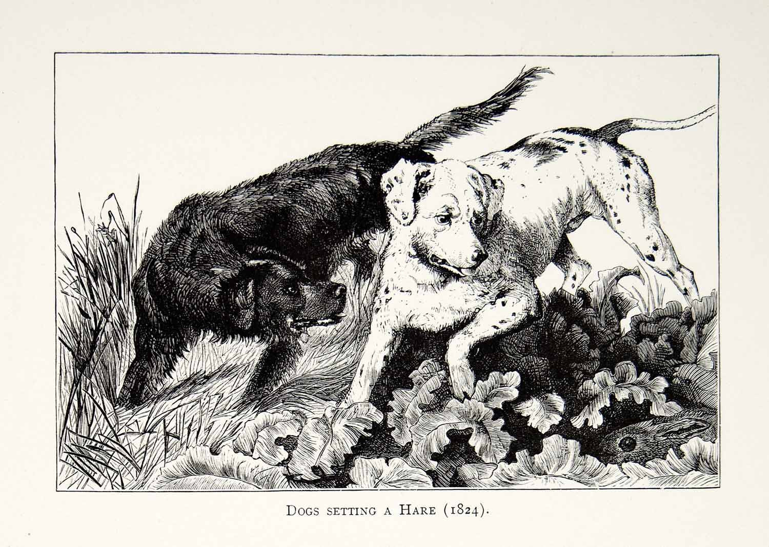 1877 Wood Engraving Edwin Landseer Hunting Dogs Hounds Hare Rabbit Small XAW4