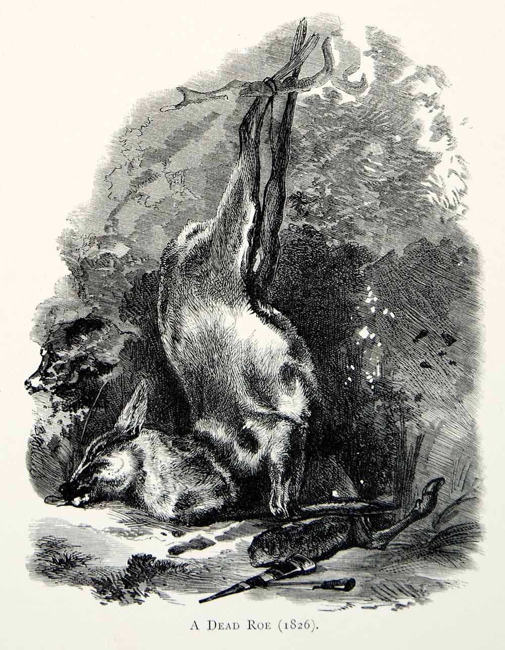1877 Wood Engraving Edwin Landseer Wildlife 1826 Art Trapped Hanging Roe XAW4