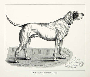 1877 Wood Engraving Edwin Landeer Domesticated Pet 1814 Art Pointer Dog XAW4