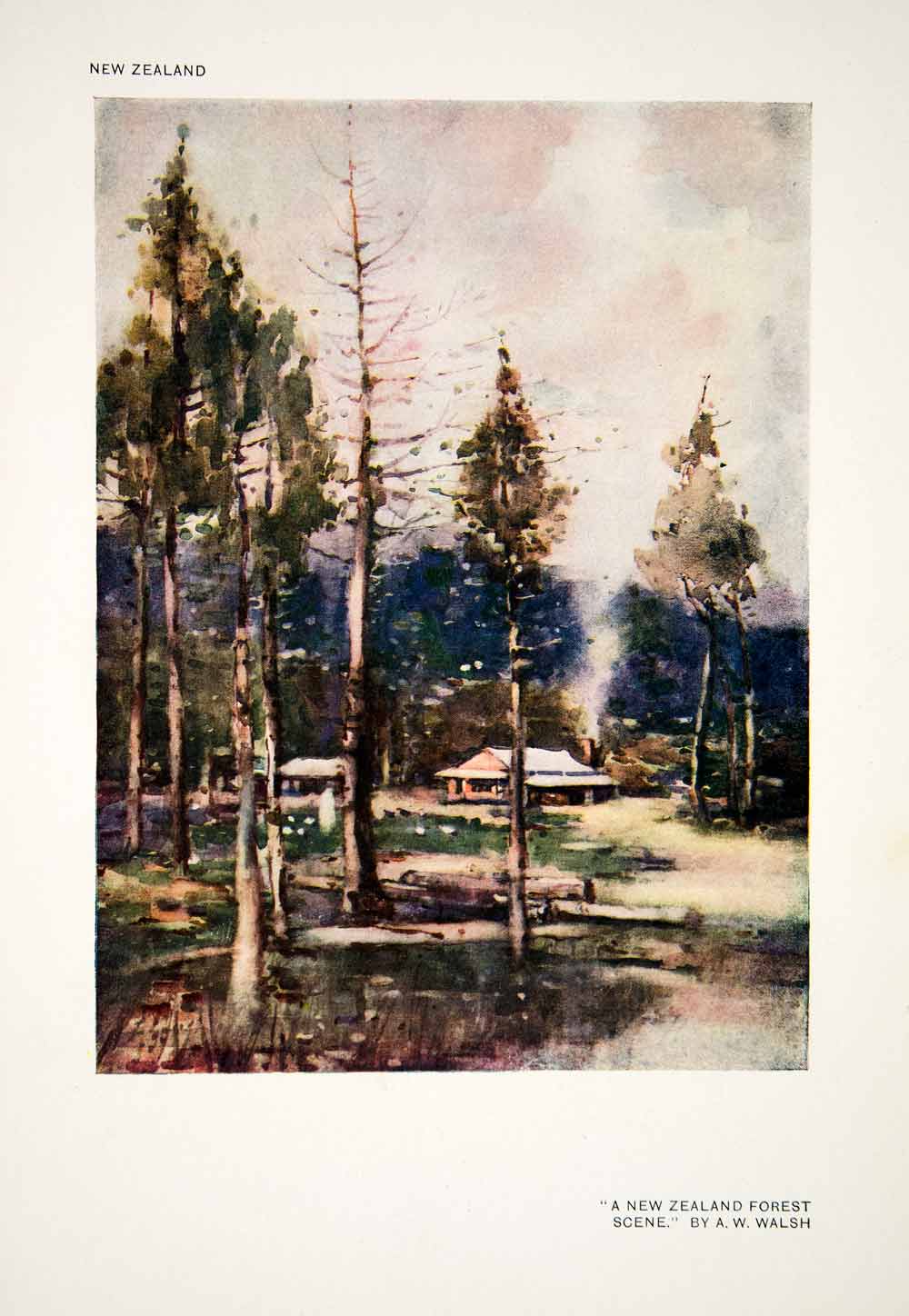 1917 Color Print New Zealand Forest Landscape Cabin Alfred Wilson Walsh XAW7