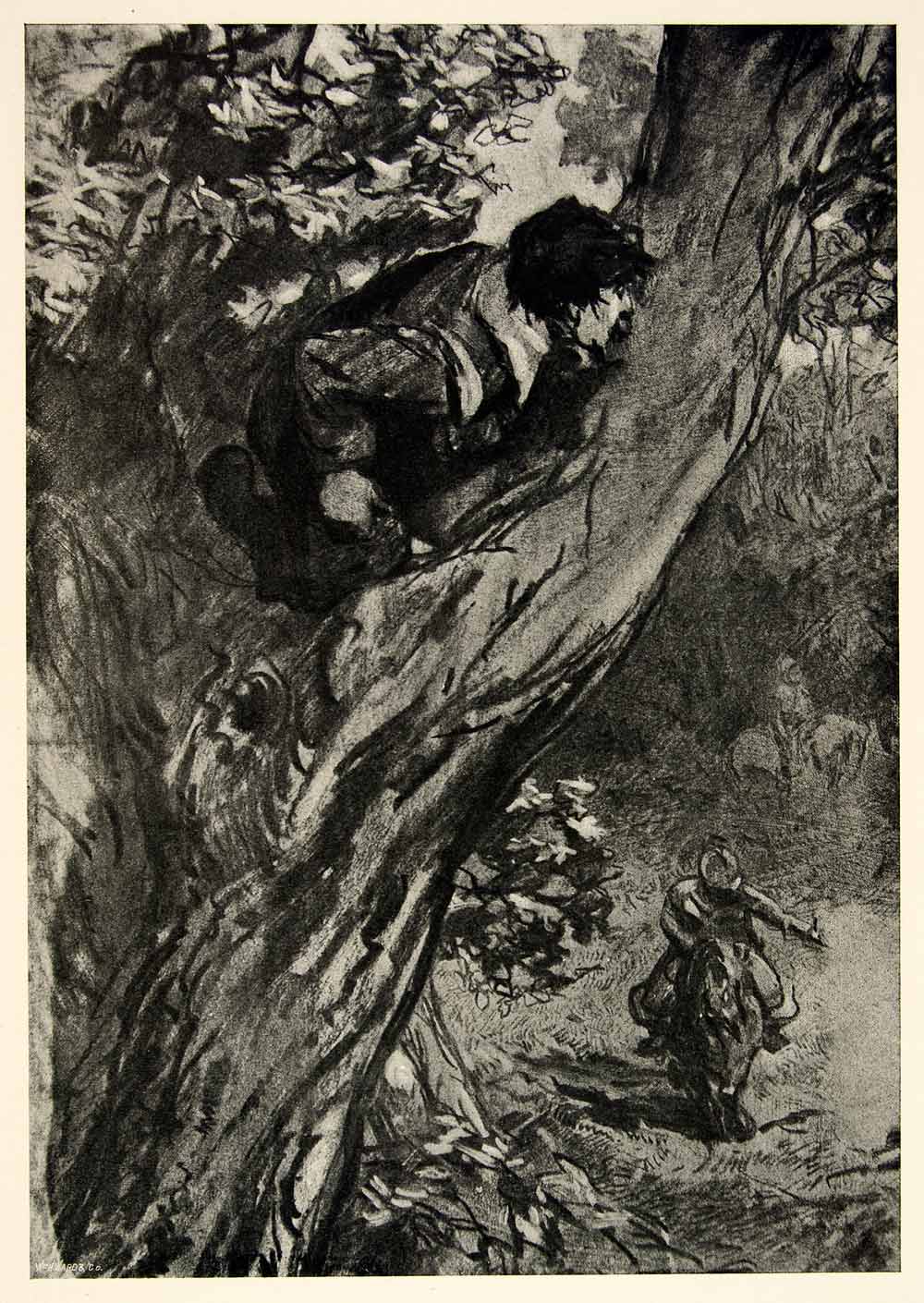 1897 Print Charles Keene Charcoal Figure Sketch Art Tree Climb Hide Ambush XAY6