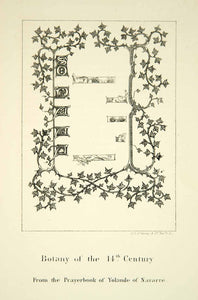 1872 Lithograph John Ruskin Botany Fourteenth Century Yolande Navaree XAZ2