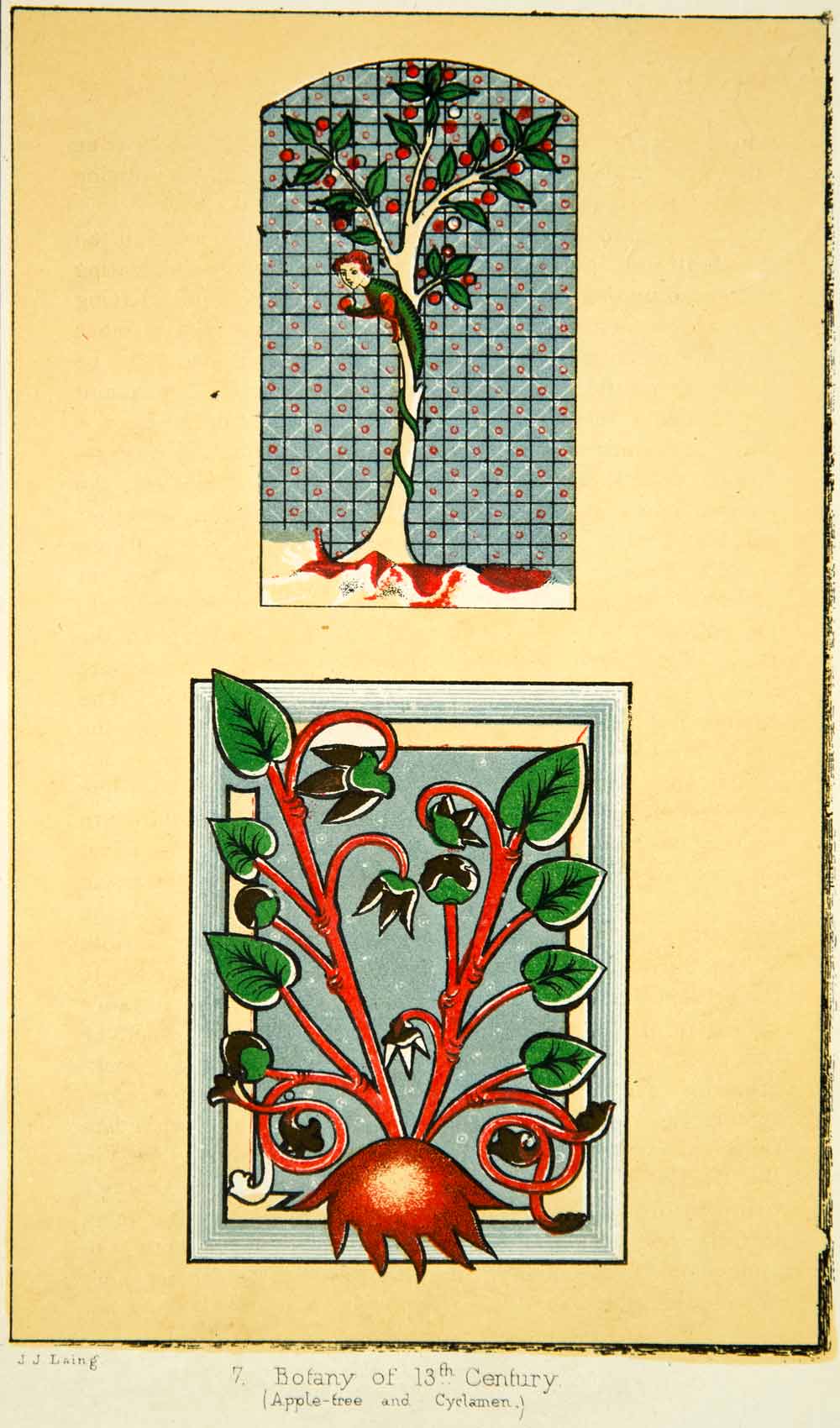 1872 Lithograph John Ruskin Botany Thirteenth Century Apple Tree Cyclamen XAZ2
