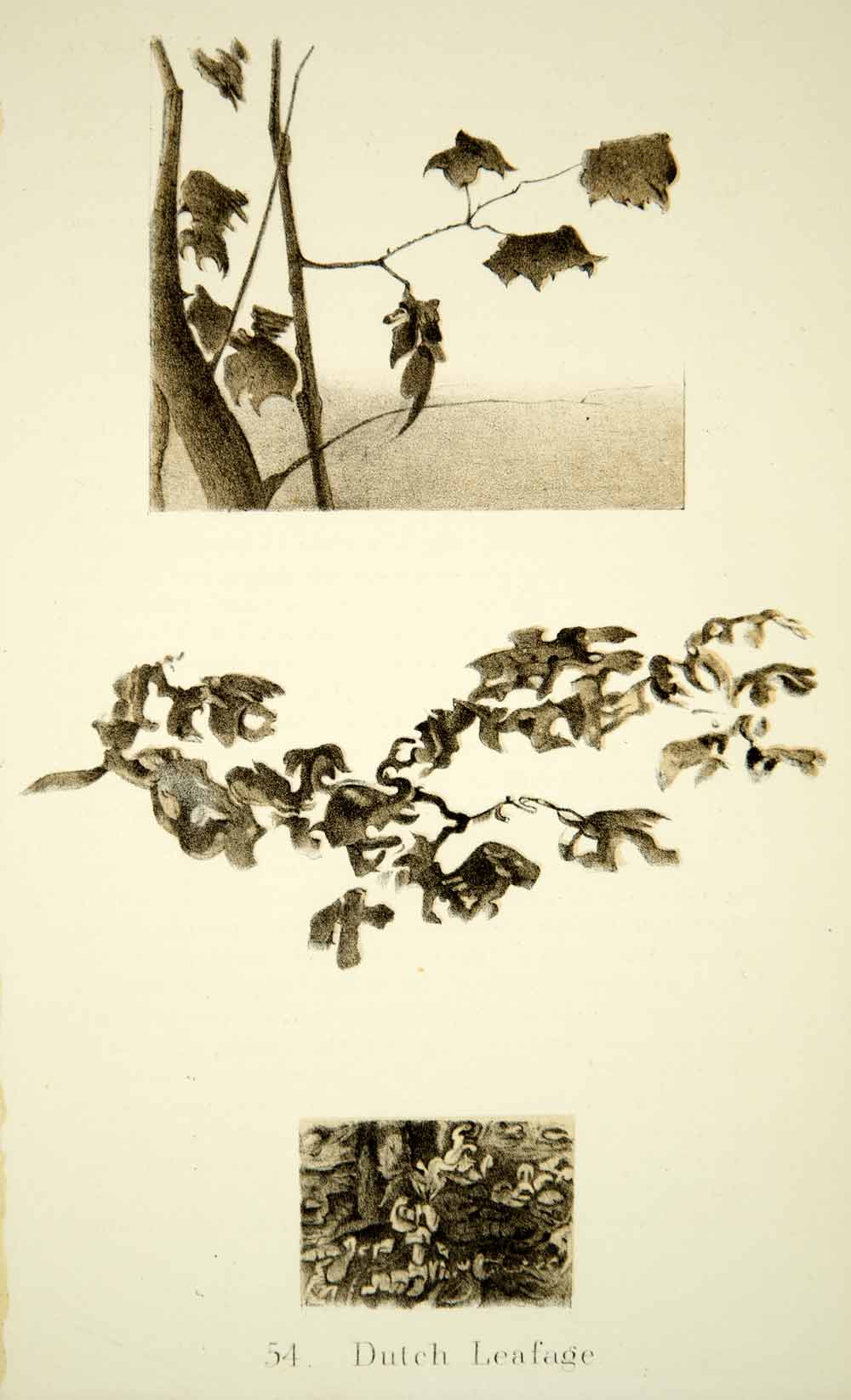 1872 Lithograph John Ruskin Dutch Leafage Botanical Scientific Illustration XAZ2
