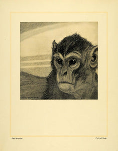1911 Print Portrait Study Primate Animal Chimpanzee Paul Bransom Art Ape XDA4