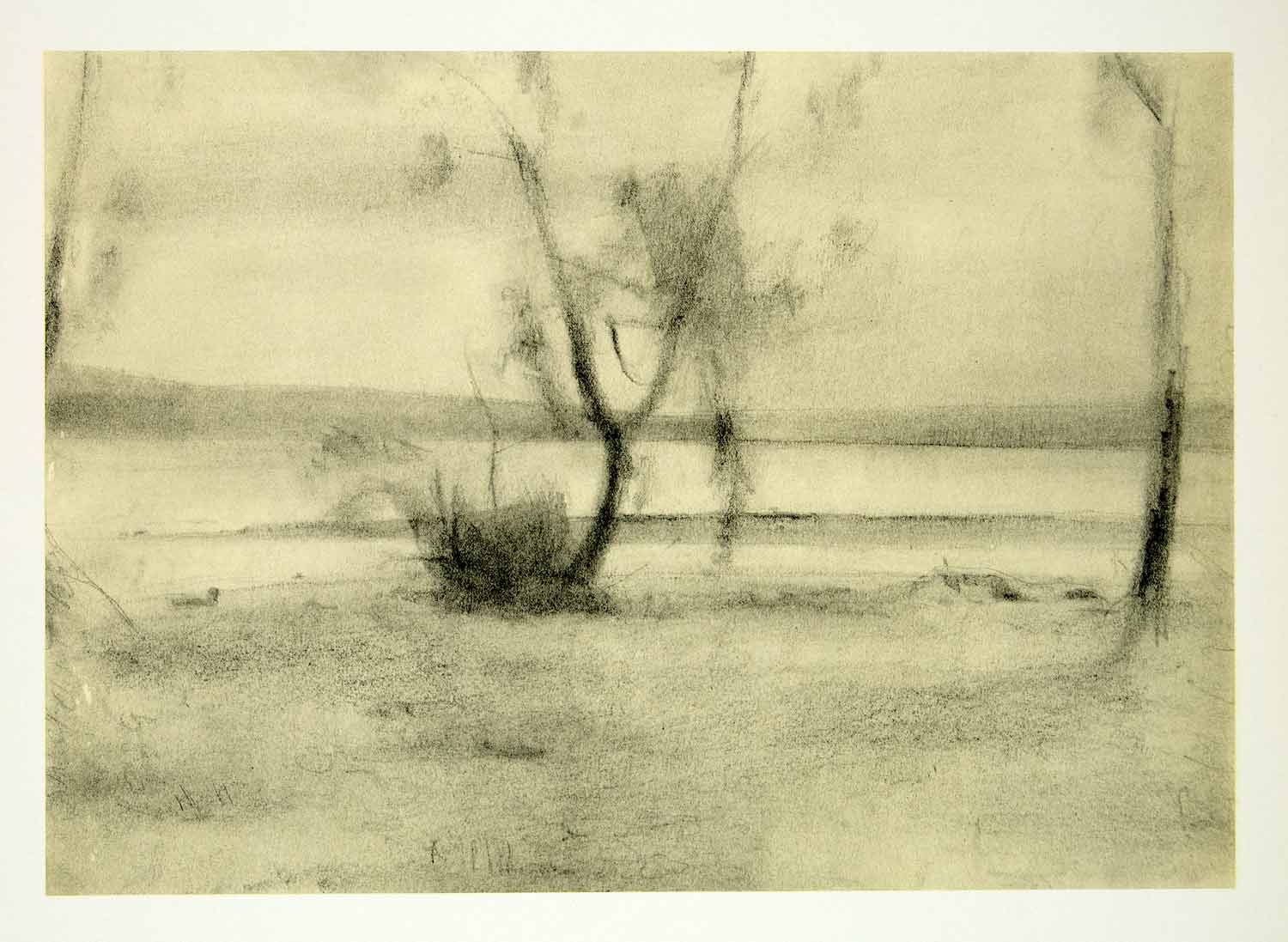 1963 Rotogravure View Cayuga Lake Landscape River Water Scenery Edwin XDE1