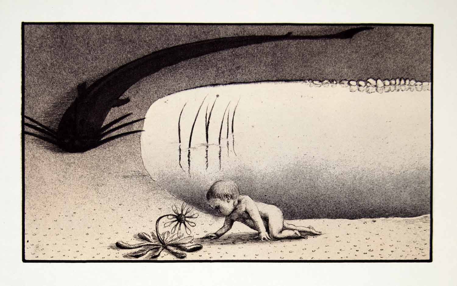 1969 Aquatone Print Alfred Kubin Art Baby Boy Pond Giant Catfish Predator XDG2