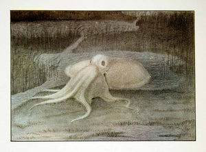 1969 Print Alfred Kubin Art Norse Mythology Mythical Sea Creature Octopus XDG2