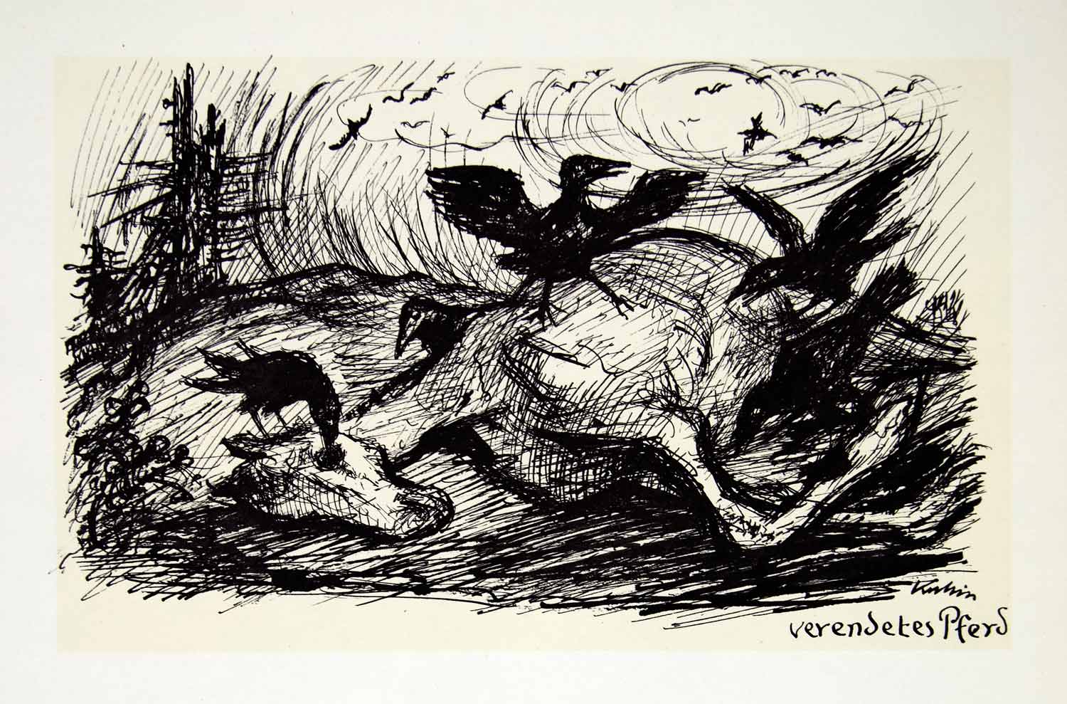 1969 Aquatone Print Alfred Kubin Art Dead Horse Decomposing Crows Wildlife XDG2
