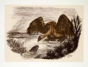 1969 Aquatone Print Alfred Kubin Modern Wildlife Art Vulture Bird Hunting XDG2