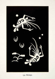 1949 Lithograph Shrimp Marine Life Animal Chekiang Pattern Motif Zhejiang XDG5