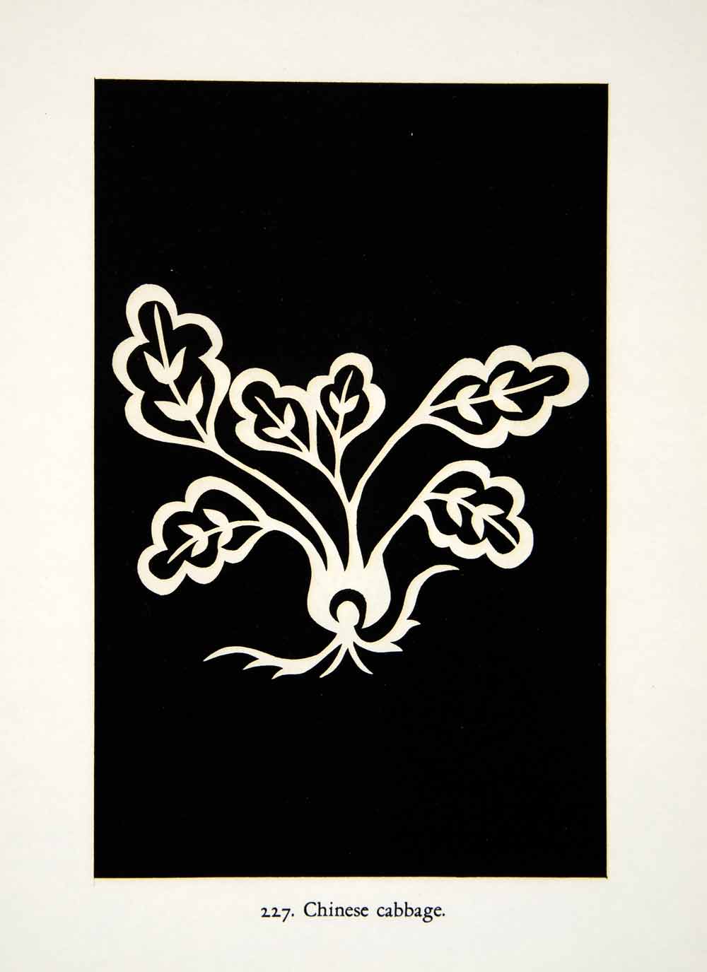 1949 Lithograph Chinese China Cabbage Kiangsi Jiangxi Pattern Floral Art XDG5