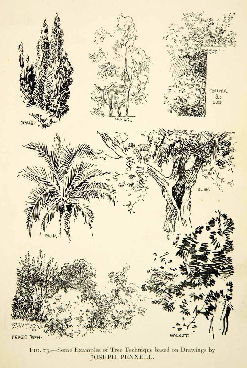 1927 Print Tree Technique Drawing Joseph Pennell Foliage Cypres Poplar ...