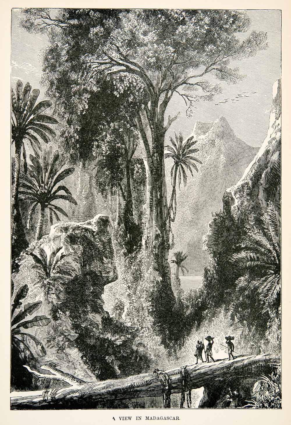 1877 Wood Engraving Madagascar Jungle Waterfall River Mountain Natives XEA7