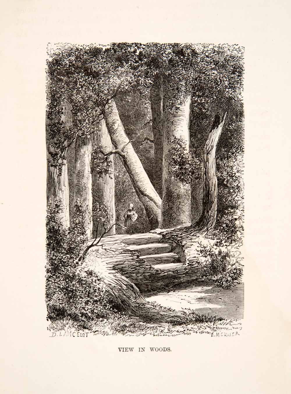 1880 Wood Engraving View Woods Landscape Forest Felled Tree Nature Figure XEI1