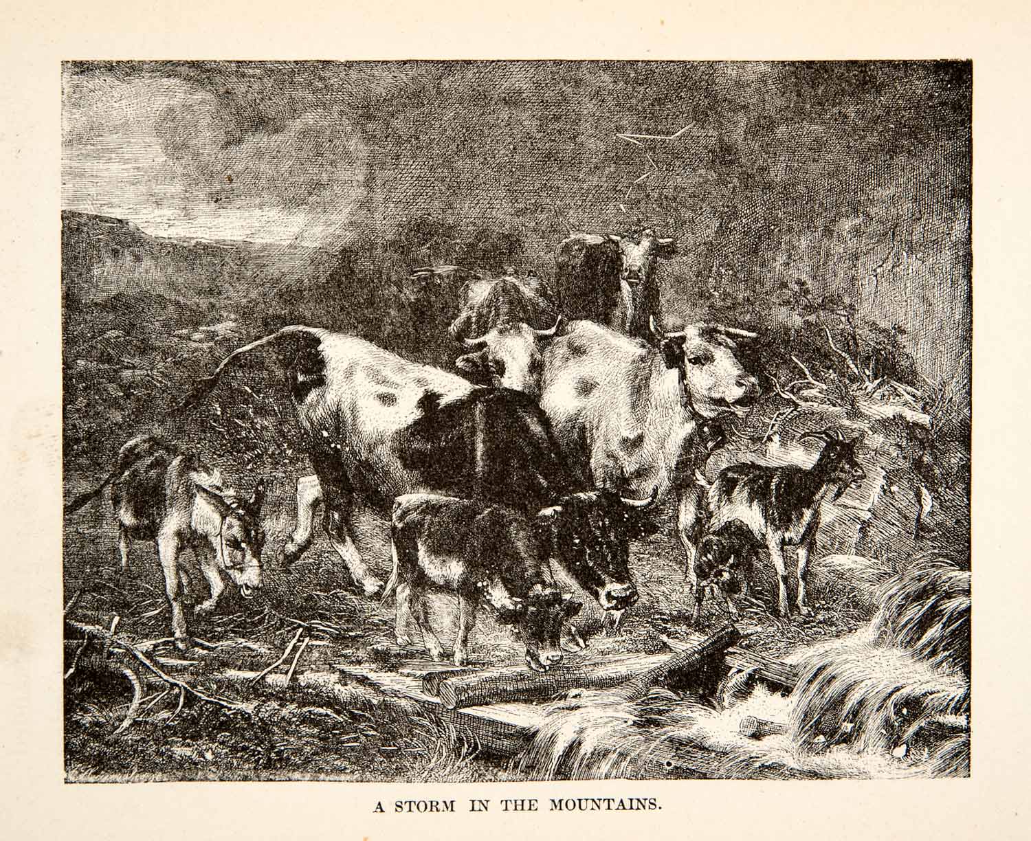 1881 Wood Engraving Cattle Goats Donkey Storm Mountain Alps Landscape XEI4