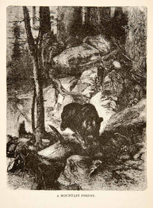 1881 Wood Engraving Alps Mountain Forest Switzerland Bear Wildlife XEI4