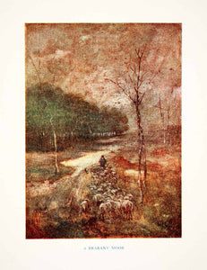 1920 Color Print Belgium Brabant Moor Shepherd Sheep Herd Landscape XEI8