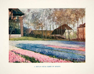 1920 Color Print Agriculture Netherlands Bulb Tulip Flower Crop Cultivation XEI8