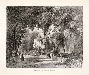 1881 Wood Engraving Mexico City Park Garden Spanish Moss Botanical Floral XEI9