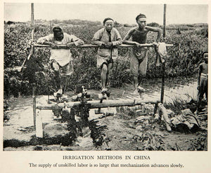 1946 Print Irrigation China Agriculture Farm Workers Field Crop Harvest XEN1