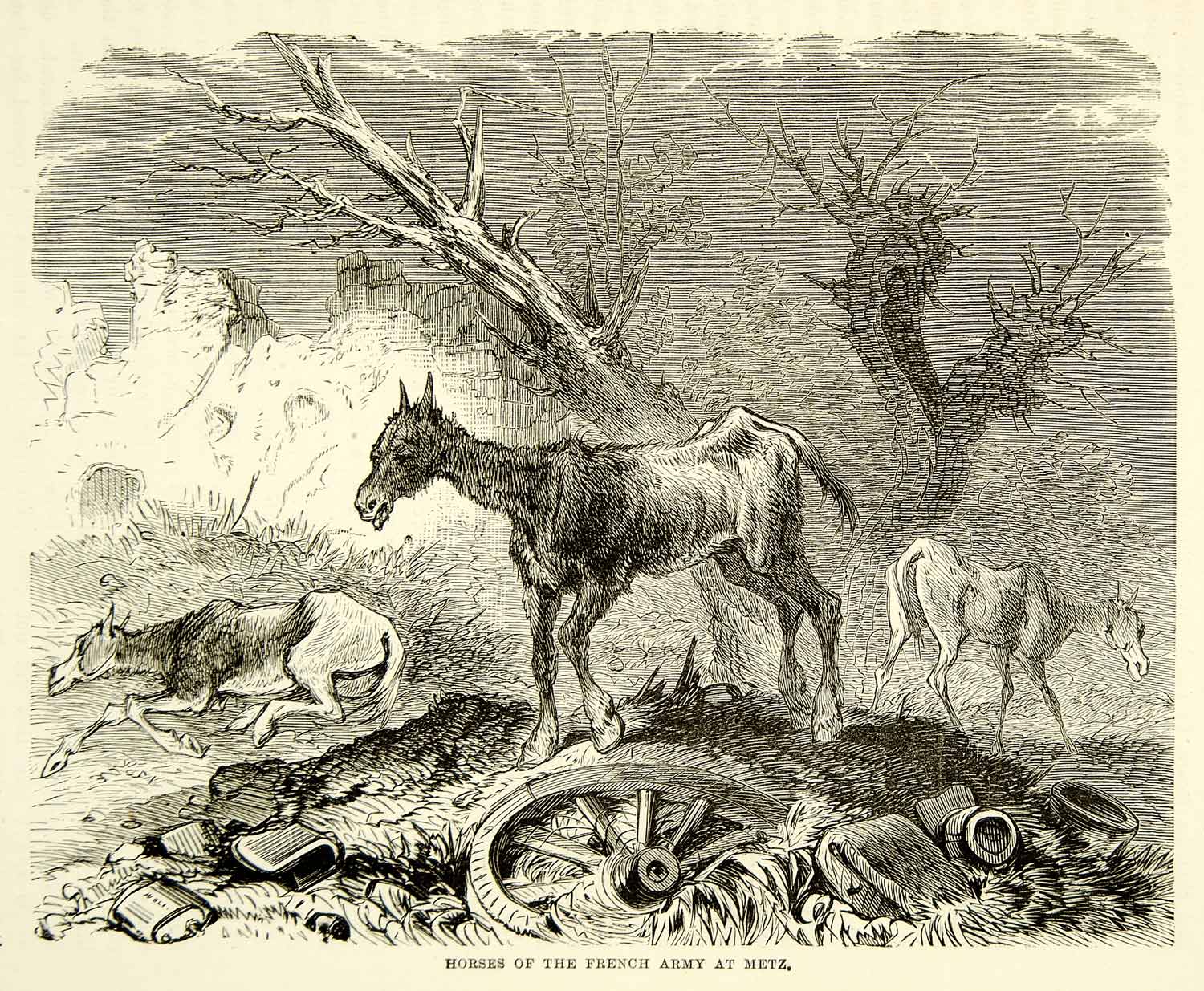 1884 Wood Engraving Franco-Prussian War Horses Siege Metz France XEQA2