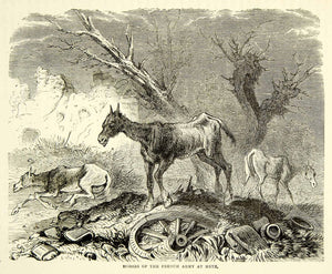 1884 Wood Engraving Franco-Prussian War Horses Siege Metz France XEQA2