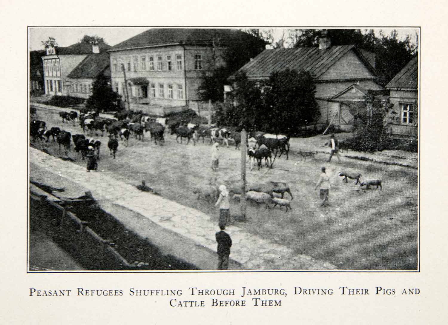 1921 Print Peasant Refugees Jamburg Pigs Cattle Cows Street Hamburg Town XES3