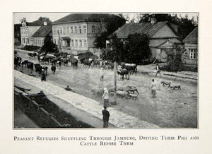1921 Print Peasant Refugees Jamburg Pigs Cattle Cows Street Hamburg Town XES3