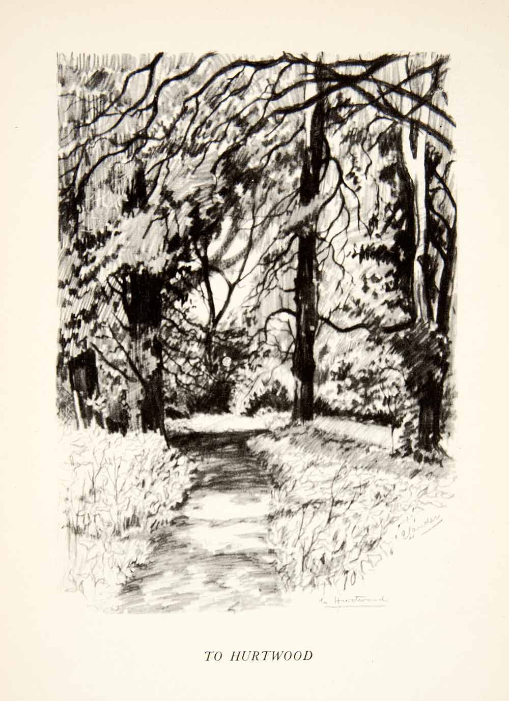 1937 Print Edgar Lander Landscape Hurtwood Trees Path England Great Britain XES4