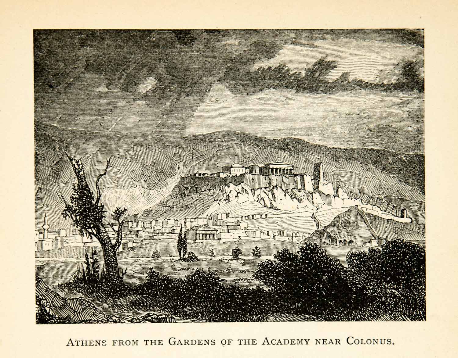 1893 Wood Engraving Athens Greece Gardens Academy Colonus Cityscape XEZ3