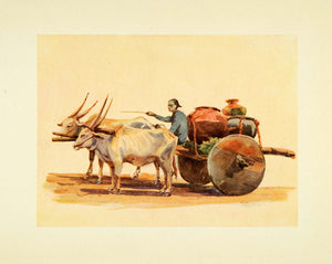 1914 Print Primitive Cart Mysore Domesticated Cattle India Lady Lawley XGA1